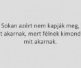 /album/fenykepgaleria/thumb-13-jpg/